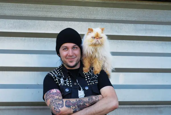 10 cats that are so metal 1