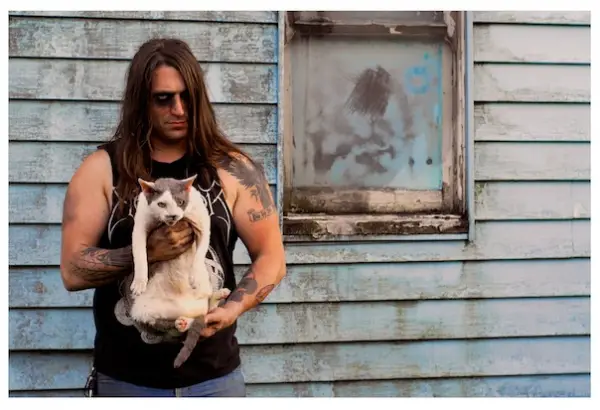 10 cats that are so metal 11