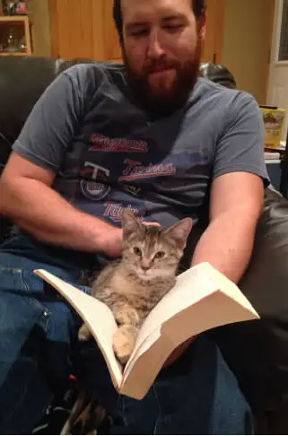 14 cats that are sure your attention is misplaced 9