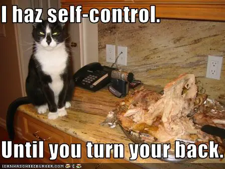 16 animals that are masters of self control 12