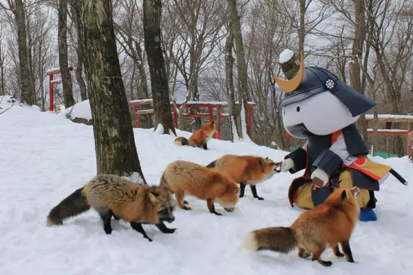 another beautiful place in japan zao fox village 17 pics 1 video 5