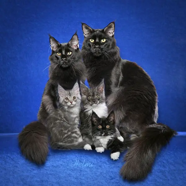 big happy and above all adorable family 15 pictures 11