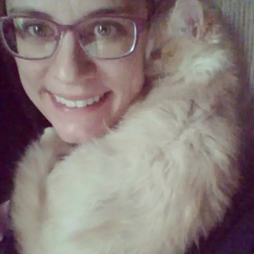 blinkin the blind but snuggliest cat in the world 7 pics 3