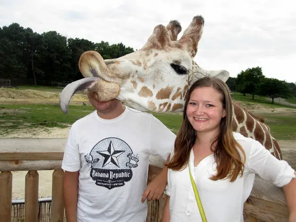 both adorable and awkward animal photobombs 15 pictures 12