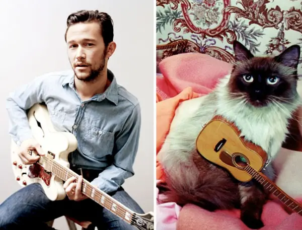cats posing as handsome guys 21 pics 12