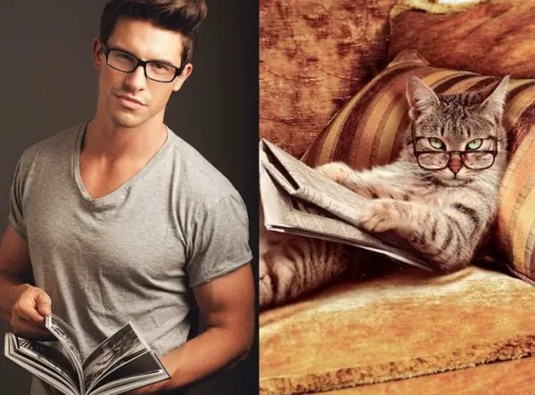 cats posing as handsome guys 21 pics 19