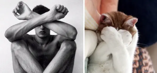 cats posing as handsome guys 21 pics 7