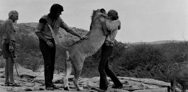christian the lion who rode in bentley 7