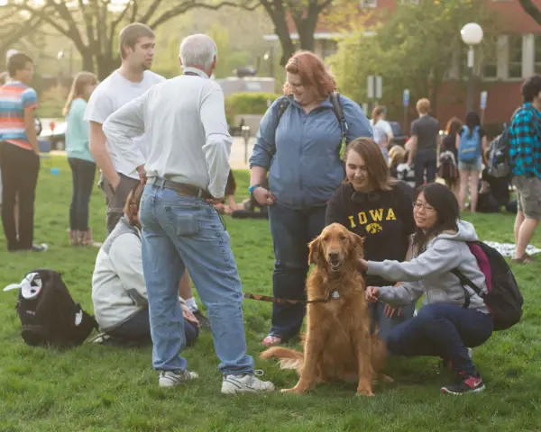 college therapy dogs help students destress during finals 8 pictures 2