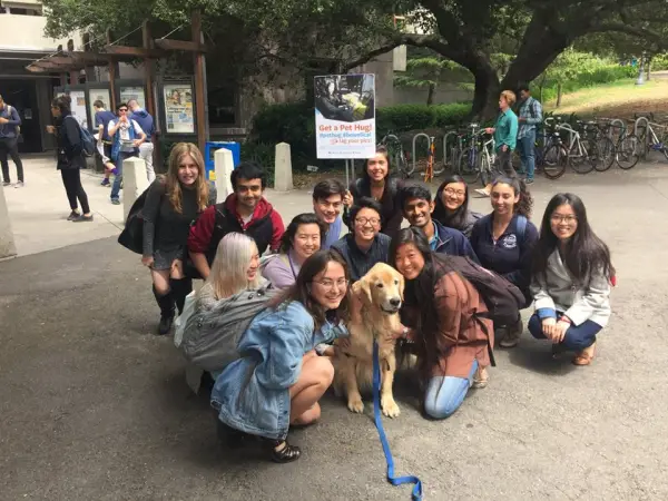 college therapy dogs help students destress during finals 8 pictures 5