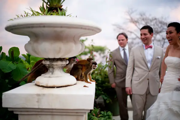 cute trend animals at weddings 10 pictures 4