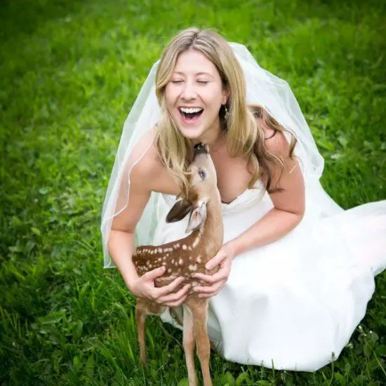 cute trend animals at weddings 10 pictures 5