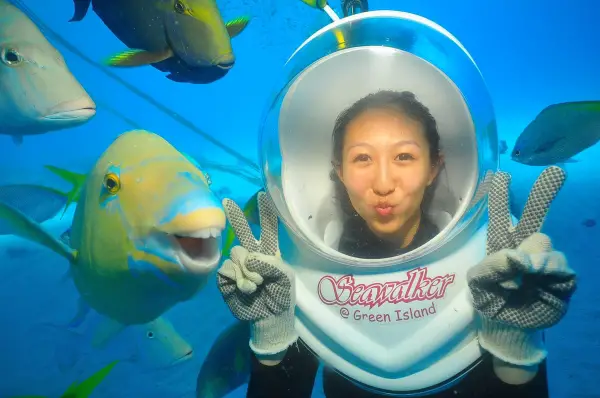 cutest underwater photobomber 6