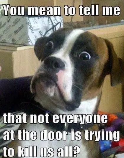 dogs with problems we just dont get 10 pictures 1