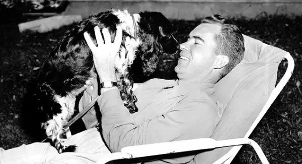 famous hollywood stars and other famous dogs in history 10 pictures 7