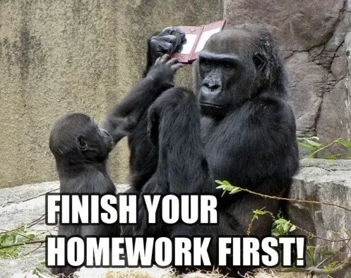 homework how do you think they do it 17 pics 15
