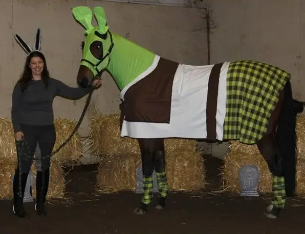 horse costumes living a day in your fantasy 24 pics 13