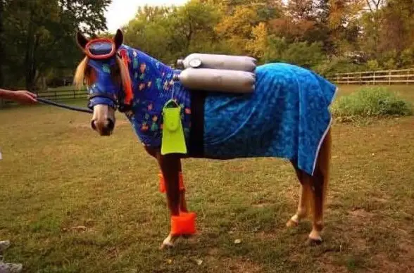 horse costumes living a day in your fantasy 24 pics 24
