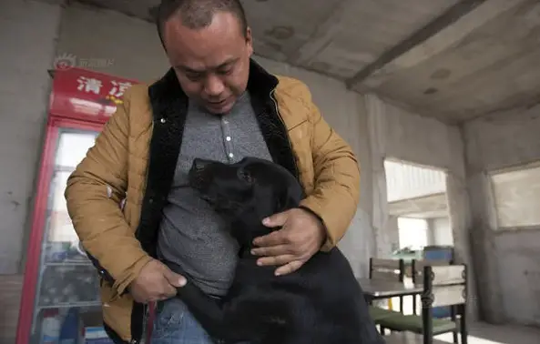 man who spent millions to save hundreds of dogs 13 pictures 3