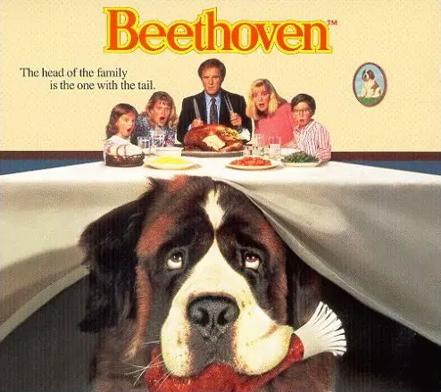 movies that could influence on your dog choice 15 pictures 1