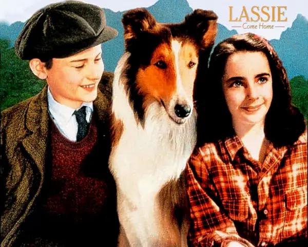 movies that could influence on your dog choice 15 pictures 7
