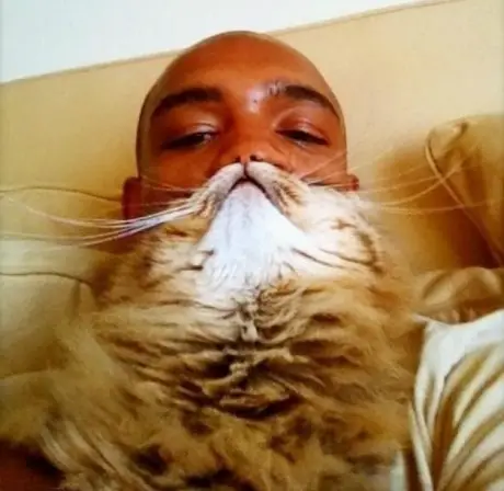 new internet hit pet beards 7 pics 1