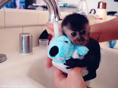 not all animals hate bath time 15 pics 1 video 3