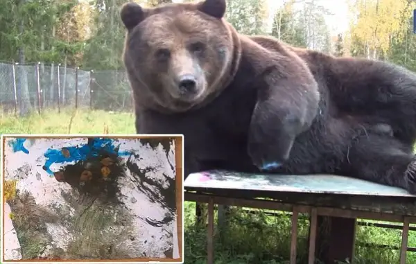 orphaned and amazingly talented animal painter juuso the bear 17 pictures 5
