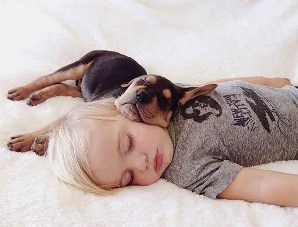 sleeping with your pet yes or no 17 pictures 4