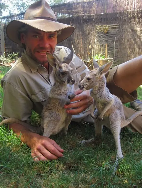 the kangaroo sanctuary that will restore your faith in humanity 12 pics 10
