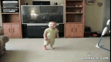 they might be small and fluffy but they are still fierce hunters 14 gifs 11
