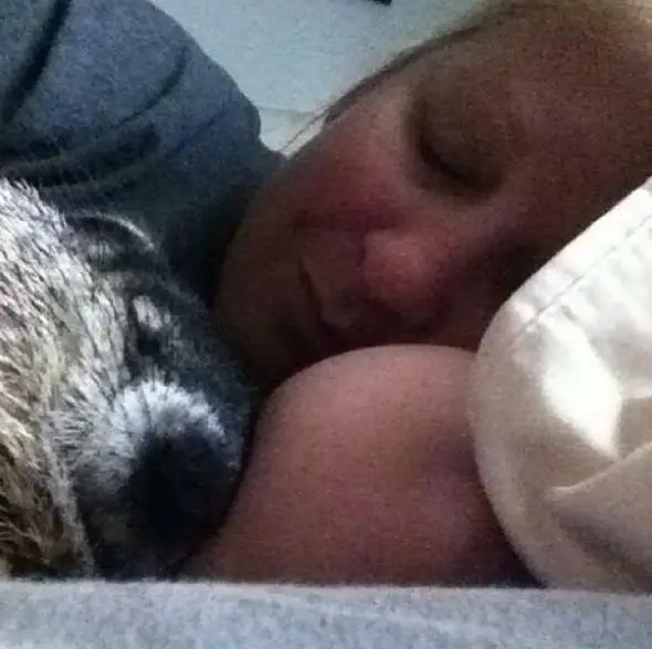 this story of a blind snuggly woodchuck will brighten your day 10 pictures 2