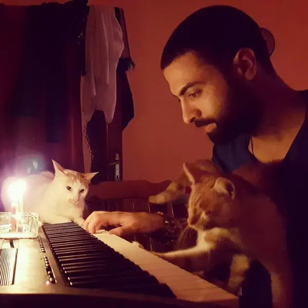 when a pianist saves cats from the streets magic happens 9 pictures 1 video 1