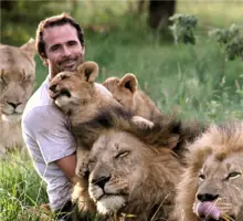 when work becomes pleasure 18 pics of lion whisperer from south africa 5
